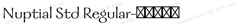 Nuptial Std Regular字体转换
